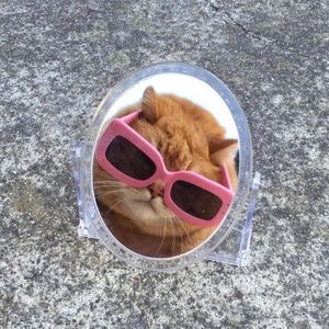 Meet your Posher, Veronica